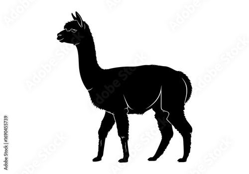 Black silhouette of an alpaca standing sideways on a white background, showcasing its distinctive long neck and woolly body.