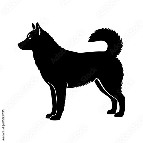 A black silhouette of a standing dog with a bushy tail curled over its back.