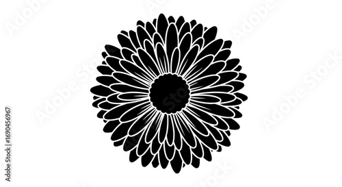 Black glyph icon of Chrysanthemum flower, isolated on white background