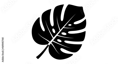 Black glyph icon of Monstera deliciosa leaf isolated on white background