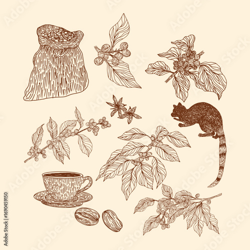 Hand Draw Vintage Coffee Elements Set