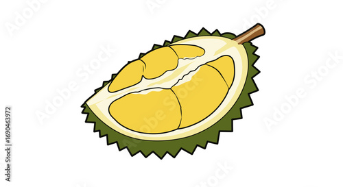 Illustration of a cut durian fruit with yellow flesh and green spiky rind.