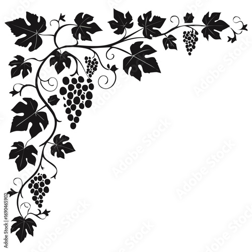 Black grape vine with leaves and tendrils forming a corner design grapes