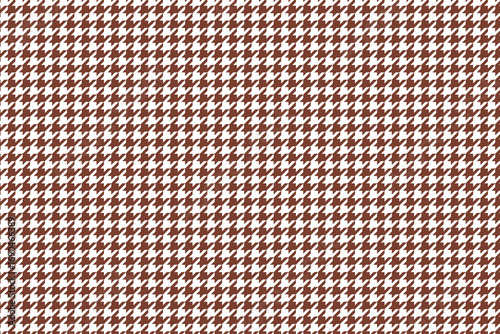 브라운 하운드투스