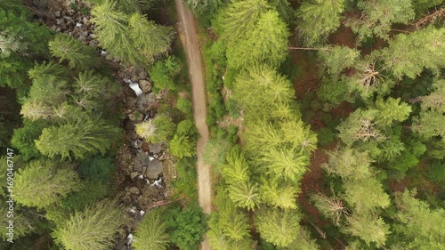 Drone Flight Fast Over River and Tourist Trail Passing Through Evergreen Forest of Pirin Mountain in Bulgaria