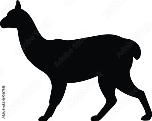 Llama Silhouette Animal Art on White Background Isolated Creative Design