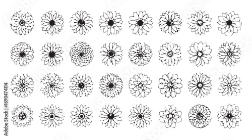 Collection of intricate floral outlines in a repeating pattern silhouette