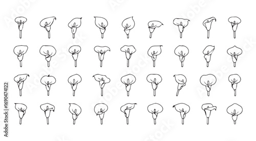 Collection of calla lily silhouettes in various poses and angles silhouette