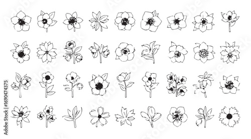 Collection of delicate hand drawn floral illustrations in silhouette style