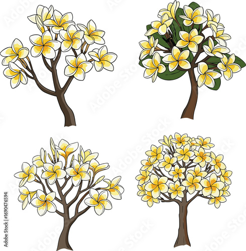 Plumeria tree illustration, tropical flowering plant vector, yellow and white frangipani blossom art, botanical garden design, exotic floral silhouette, decorative nature graphic