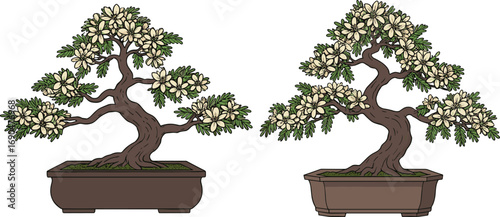 Cream flower bonsai tree illustration, twisted trunk design, green foliage art, decorative potted plant vector, Japanese miniature tree, botanical home decor silhouette, nature artwork