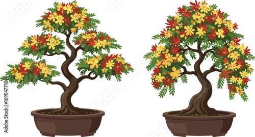 Autumn bonsai trees with multicolored foliage in decorative pots, twisted trunks, vibrant leaves, Japanese miniature horticulture, seasonal ornamental indoor plant art display