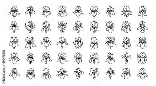 Collection of abstract decorative ornamental floral motifs silhouette