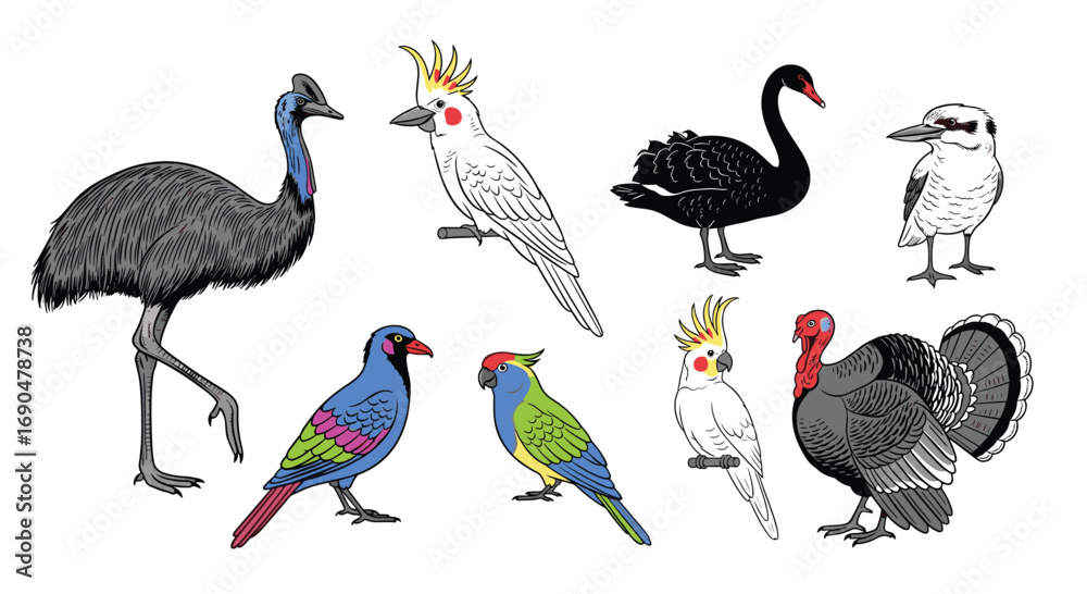 Obraz premium Collection of australian birds including emu cockatoo black swan kookaburra and more
