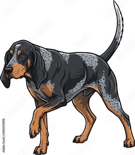 Bluetick Coonhound dog focused hunting stance vector illustration