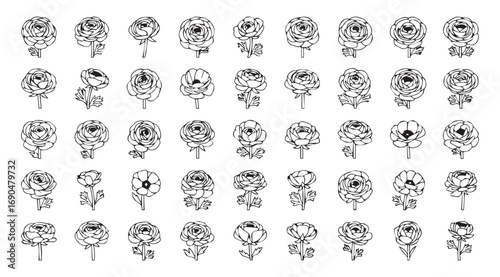 Collection of intricate floral and botanical line art silhouettes in a grid pattern silhouette