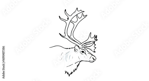 Majestic reindeer with large antlers, depicted in a clean line art illustration
