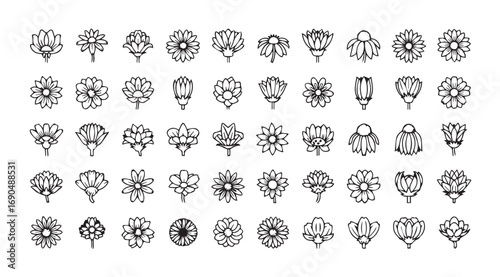 Collection of intricate abstract ornamental designs in silhouette style