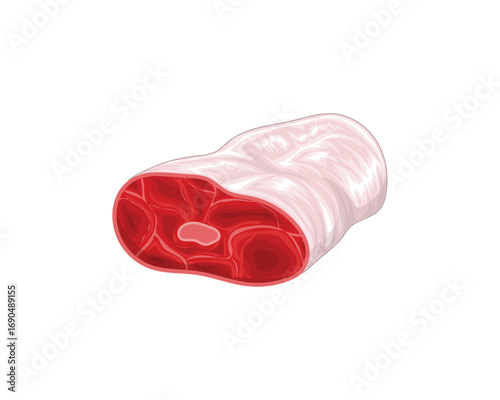 Vector design of an illustration of a cut of beef with the meat being dark red and the skin being light pink