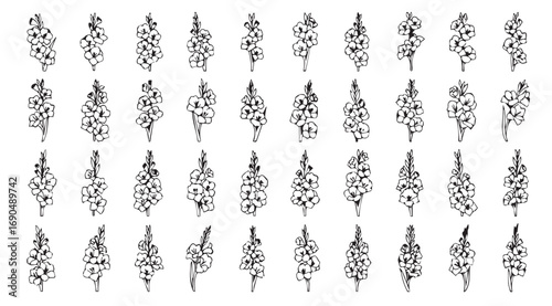 Collection of intricate black and white decorative flourishes and ornaments silhouette