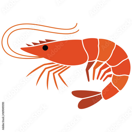 shrimp on a white background