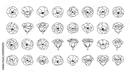 Collection of hand drawn rose flower silhouettes in various stages of bloom