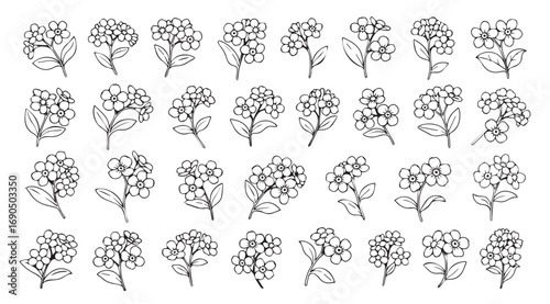 Collection of delicate floral sprigs in a minimalist sketch silhouette