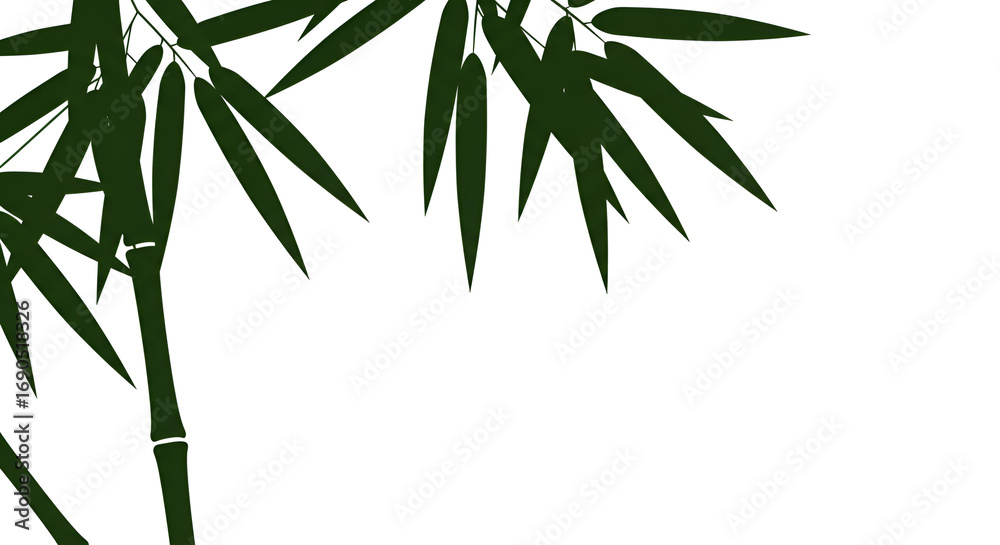 Obraz premium Green Bamboo Leaves on White Background in Minimalist Style