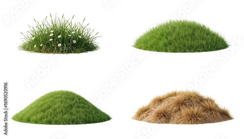 Lush variety of grass and floral tufts arranged as design elements against transparent setting