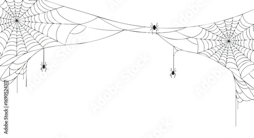 Spooky spiderwebs with hanging spiders create a creepy Halloween atmosphere and perfect for party invites