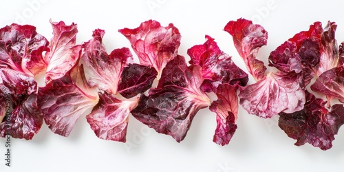 A row of dried radicchio leaves arranged horizontally across a white surface. The leaves are a deep burgundy color with lighter pink and purple veins.