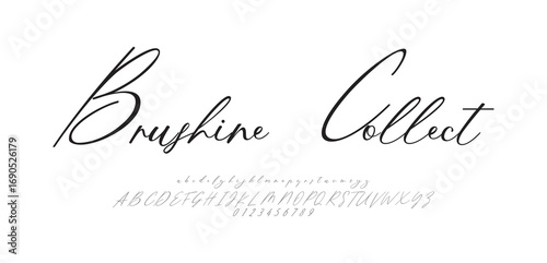 Brushine Collect Signature Typeface. Handwritten Script Editable Text Effect Template. vector illustration 
