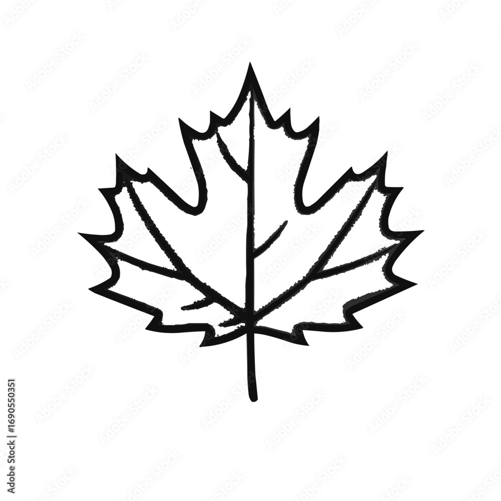 Fototapeta premium Maple leaf isolated on white background