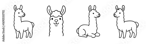 Set of four drawings of lama animal