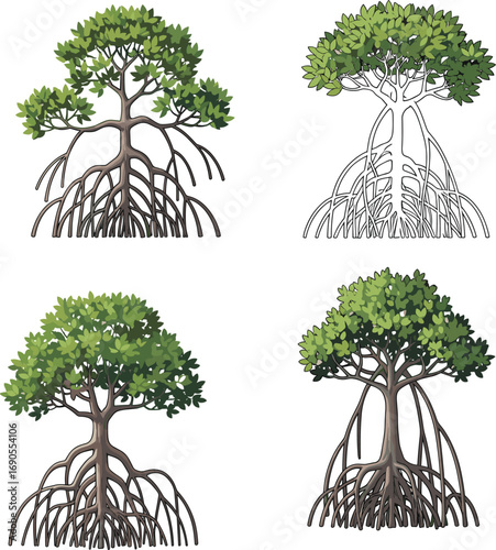 Mangrove tree vector set, tropical coastal trees, root system illustration, wetland nature design, marine vegetation clipart, environment conservation elements.