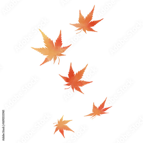 Watercolor Style Autumn Maple Leaves Floating in the Air ｜ Red Maple Leaf, Japanese Maple, Fall Foliage, Seasonal Illustration, Transparent Background, Vector