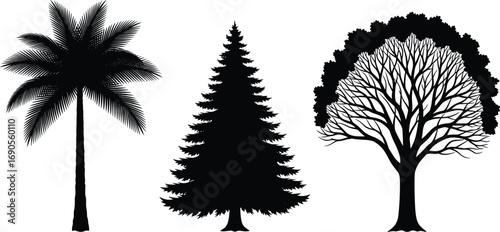Three tree silhouettes — palm, coniferous, and deciduous styles in black vector for nature, botany, seasonal, and design themes