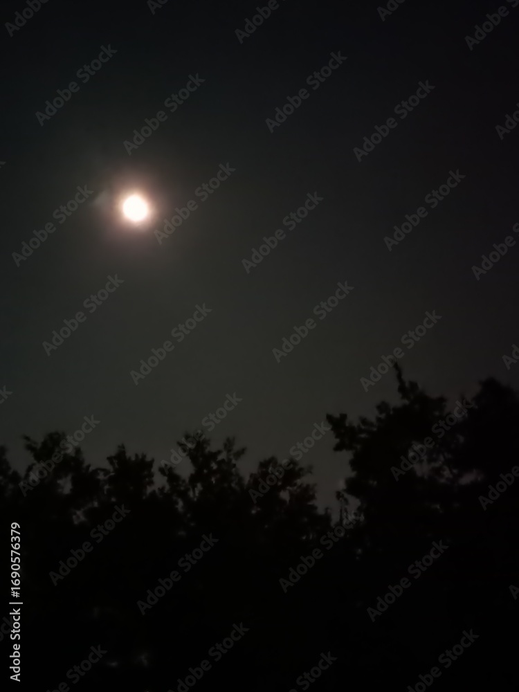 Fototapeta premium moon and clouds