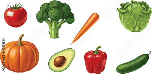 Fresh healthy vegetables collection including tomato, broccoli, carrot, lettuce, pumpkin, avocado, bell pepper, cucumber, perfect for cooking.