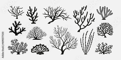 You've uploaded an image that appears to be a collection of coral silhouette illustrations. These silhouettes showcase a wide variety of coral shapes and structures, including branching corals, fan co
