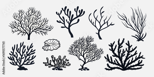 You've uploaded an image that appears to be a collection of coral silhouette illustrations. These silhouettes showcase a wide variety of coral shapes and structures, including branching corals, fan co