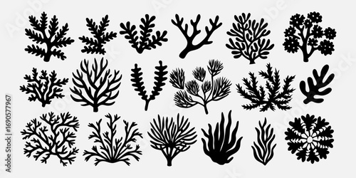 You've uploaded an image that appears to be a collection of coral silhouette illustrations. These silhouettes showcase a wide variety of coral shapes and structures, including branching corals, fan co