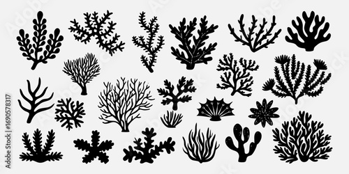 You've uploaded an image that appears to be a collection of coral silhouette illustrations. These silhouettes showcase a wide variety of coral shapes and structures, including branching corals, fan co