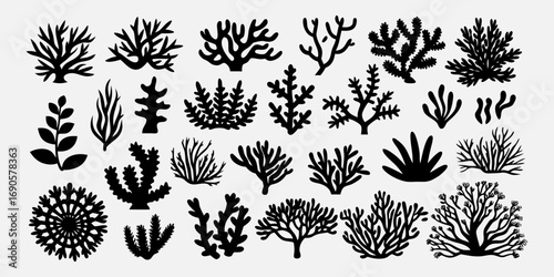 You've uploaded an image that appears to be a collection of coral silhouette illustrations. These silhouettes showcase a wide variety of coral shapes and structures, including branching corals, fan co