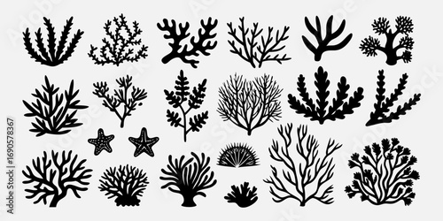 You've uploaded an image that appears to be a collection of coral silhouette illustrations. These silhouettes showcase a wide variety of coral shapes and structures, including branching corals, fan co