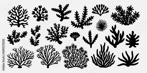 You've uploaded an image that appears to be a collection of coral silhouette illustrations. These silhouettes showcase a wide variety of coral shapes and structures, including branching corals, fan co