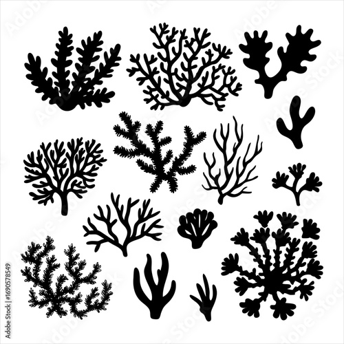 You've uploaded an image that appears to be a collection of coral silhouette illustrations. These silhouettes showcase a wide variety of coral shapes and structures, including branching corals, fan co