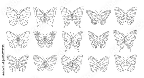 Collection of delicate hand drawn outline butterflies featuring intricate wing patterns and variety of shapes