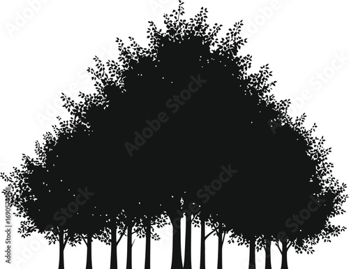 Dense forest silhouette, trees with leaves, nature and woodland illustration