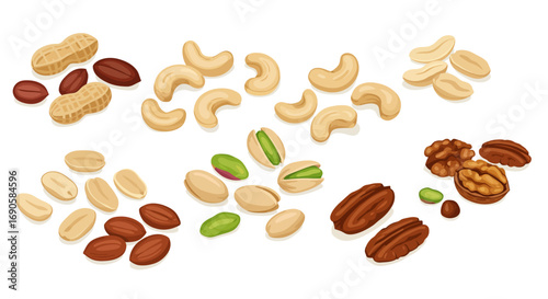 Assorted nuts collection: cashews, peanuts, and more in flat design
